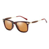 Benjamin Wayfarer - SunglassesMart