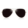 Benjamin Gold Pilot Sunglass - SunglassesMart